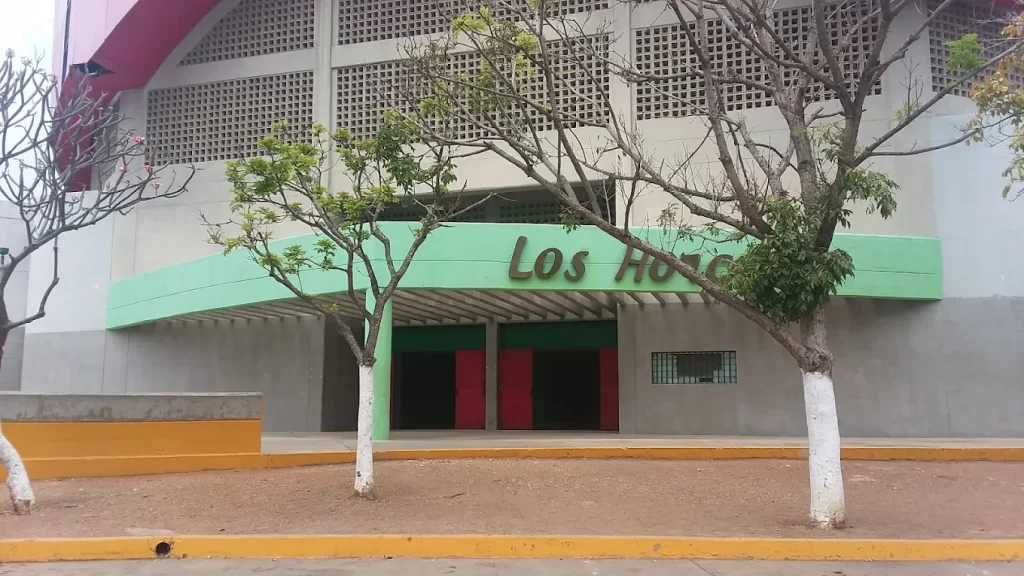 Plan República restringe cobertura de periodistas durante la votación de Henr...